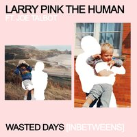 LARRY PINK THE HUMAN