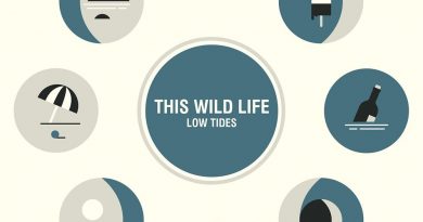 This Wild Life - Brick Wall