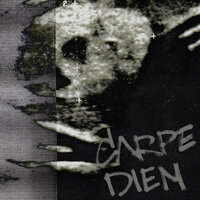 STED.D - CARPE DIEM