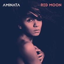 Aminata - I'm Not the One You Used to Know
