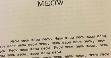 Flatsound - Meow Meow Meow Meow Meow