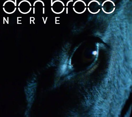 Don Broco - Nerve