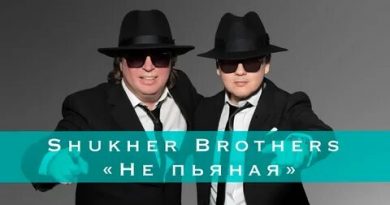 SHUKHER BROTHERS - Не пьяная