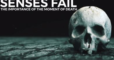 Senses Fail - The Importance of the Moment of Death