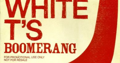 Plain White T's - Boomerang