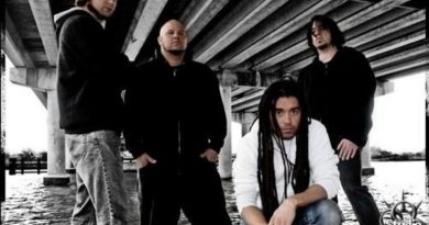 Nonpoint - Never Cared Before