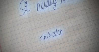 shikoshib — Я пишу ничего