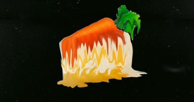 N-LYS — Морковный торт