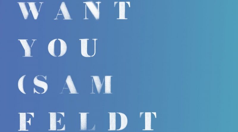 Rita Ora, Sam Feldt-Only Want You