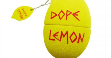 Dope Lemon, Louise Verneuil - High Rollin
