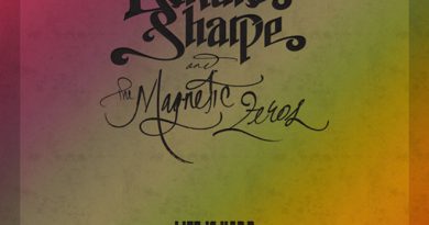 Edward Sharpe and the Magnetic Zeros - Life Is Hard