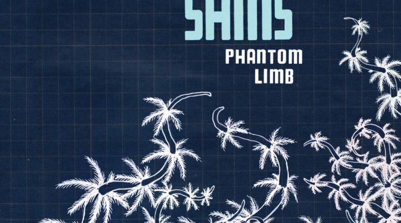 The Shins - Phantom Limb