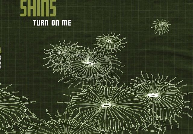 The Shins - Turn On Me
