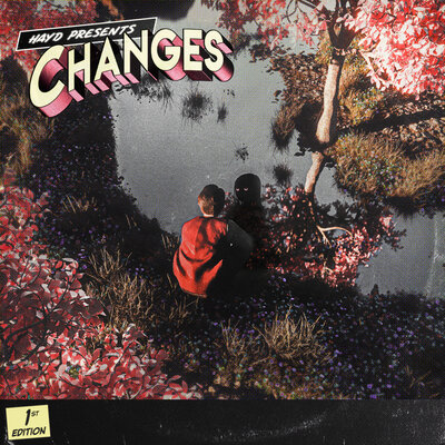 Hayd - Changes
