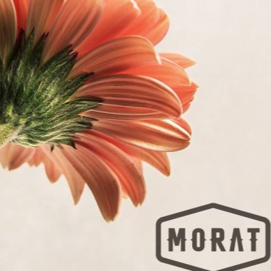 Morat - Cuando Nadie Ve