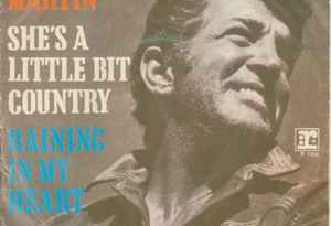 Dean Martin - She's A Little Bit Country