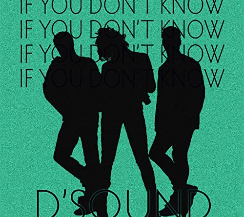 D'Sound - If You Don't Know