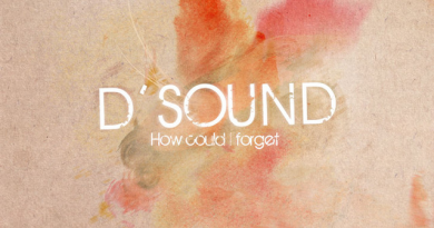 D'Sound - How Could I Forget