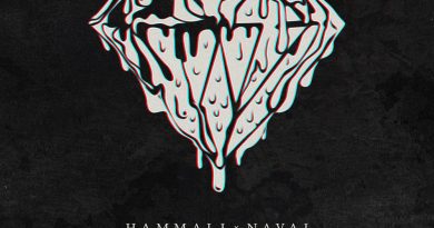 HammAli & Navai бриллиант в грязи