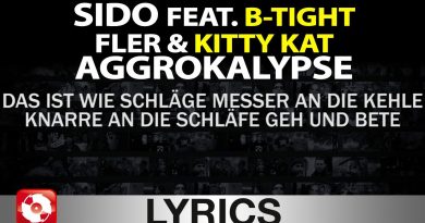 Sido, B-Tight, Fler, Kitty Kat - Aggrokalypse