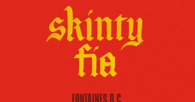Fontaines D.C. — Skinty Fia