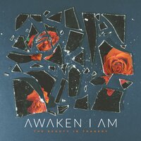 Awaken I Am - Dissolution