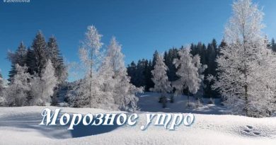Дмитрий Гревцев - Морозное утро
