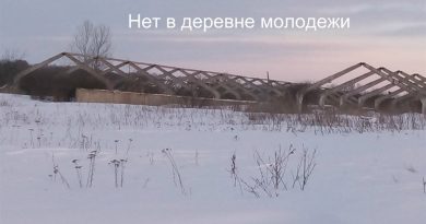 Дмитрий Гревцев - Нет в деревне молодежи