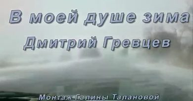 Дмитрий Гревцев - В моей душе зима