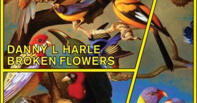 Danny L Harle - Broken Flowers