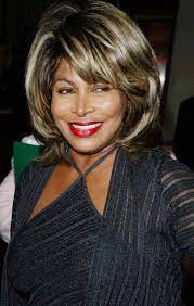 Tina Turner - You Ain't Woman Enough to Take My Man