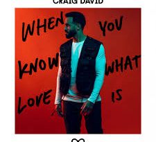 Craig David - Change My Love