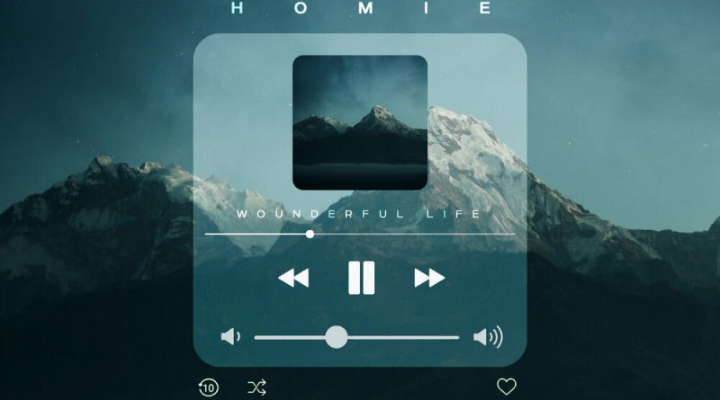 Homie - Wonderful life