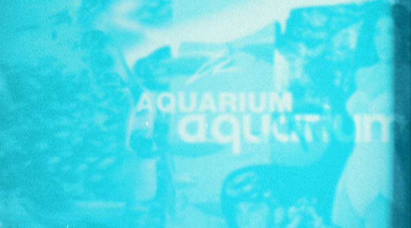Carter Reeves - Aquarium