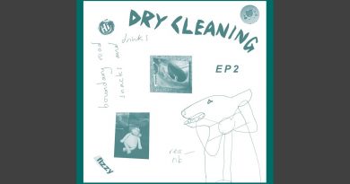 Dry Cleaning - Dog Proposal