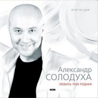 Александр Солодуха - Не переживай