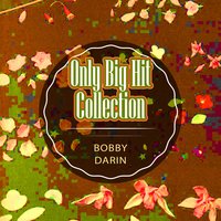 Bobby Darin - The More I See You