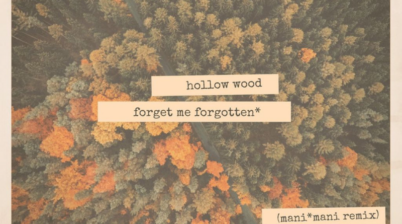Hollow Wood - Forget Me Forgotten