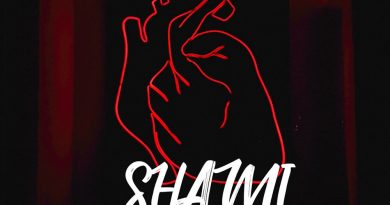 SHAMI - От всего сердца