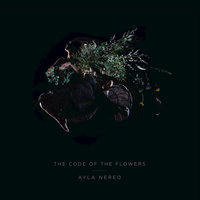 Ayla Nereo - Look at the River