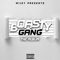 Wiley - Boasty