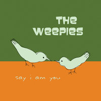 The Weepies, Deb Talan, Steve Tannen - Gotta Have You