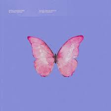 Johnny Stimson - Butterflies