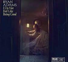 Ryan Adams - In the Dark