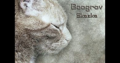 Boogrov - Skazka