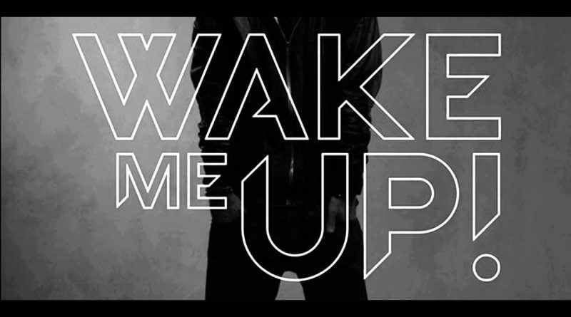 Aloe Blacc - Wake Me Up