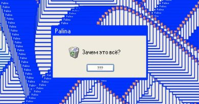 Palina - Зачем это всё?