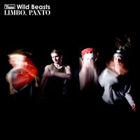 Wild Beasts - The Club Of Fathomless Love