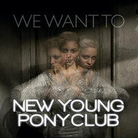 New Young Pony Club - We Want 2