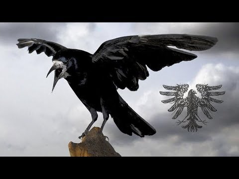 Schwarzer Engel — Vom Galgen tönt die Krähe